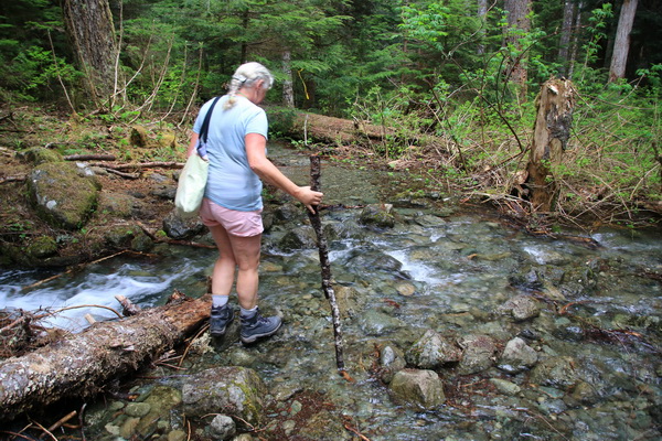 Magda mei 2017 - Stathcona PP (Vancouver Island, BC, Canada)
Het pad was in een riviertje veranderd op het Elk River trail