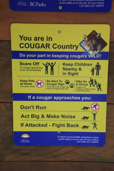 Adviezen voor Cougar gebied