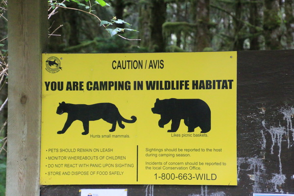 Waarschuwing; U kampeert in leefgebied van wild
Cougars en Zwarte Beren