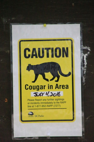 Waarschuwing; Cougar in dit gebied
Melding van 4 juli 2016 (dus al een jaar oud) 
