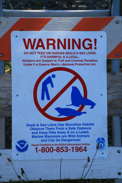 Waarschuwing: Verboden zeeleeuwen en zeehonden te voeren