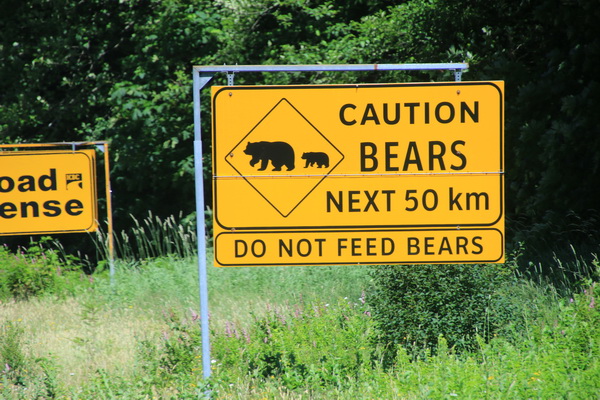Waarchuwing voor beren op de weg (niet voeren ook)