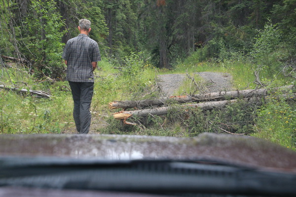 Fred juli 2017 - Geblokkeerde camping (Fort St James, BC, Canada)
Fred zou beginnen met het wegzagen, maar er bleken nog meer bomen over de weg te liggen verderop...