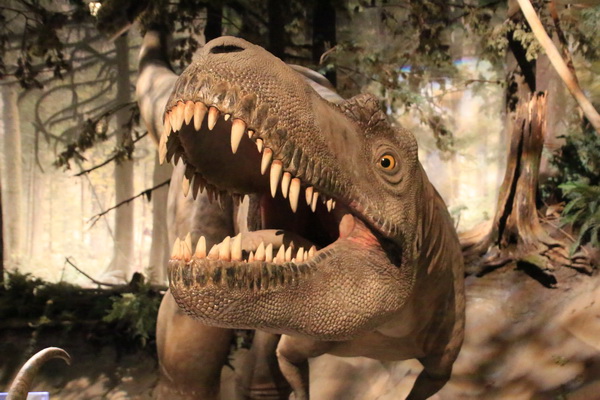 Complete dino's neergezet in levensechte scenes