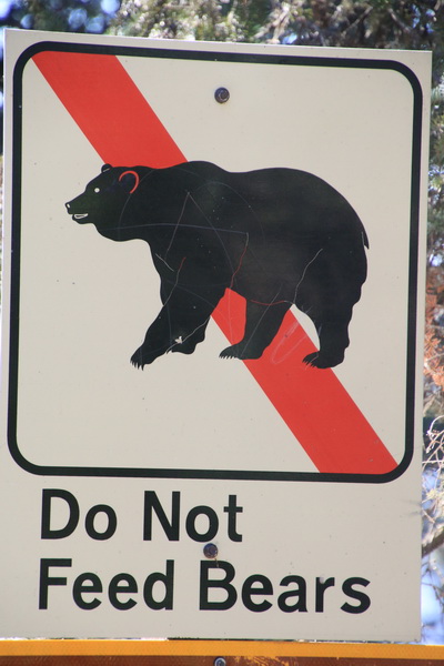 Verboden beren te voeren