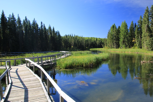 Boardwalk op de Waskesiu River Trail