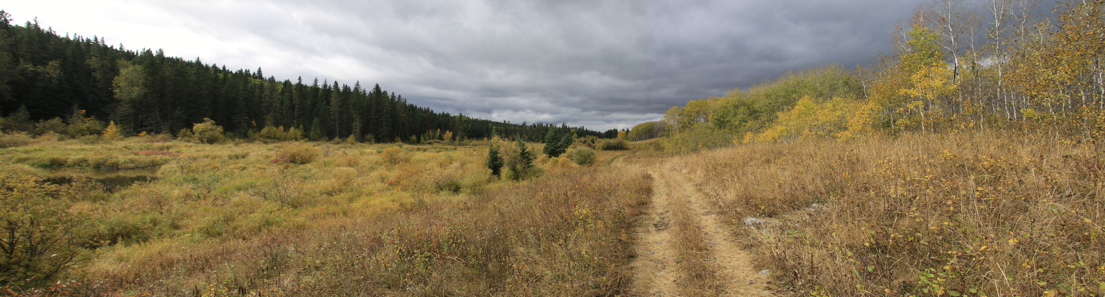 Wandeling over ATV tracks door de bossen