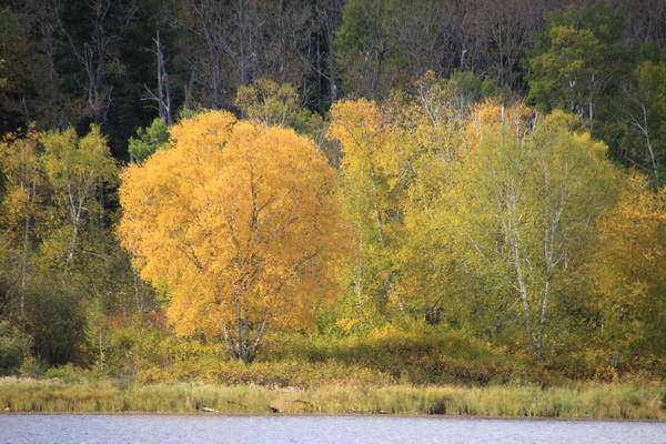 Herfstkleuren
