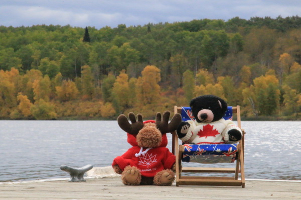 Beer en Moose september 2017 - Saginas Lake RS (SK, Canada)
Moose met zijn Canada 150 Hoodie en Beer met zijn Canada wintertrui, beiden in Moose Jaw gekocht