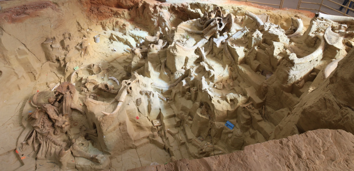 Overdekte opgraving met tot nu toe resten van 61 individuele Mammoeten in een sinkhole