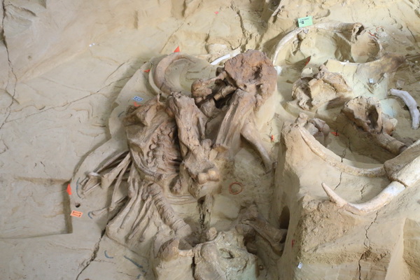 (3) De werkelijke resten in de opgraving