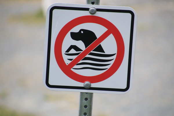 Verboden om je hond te laten zwemmen