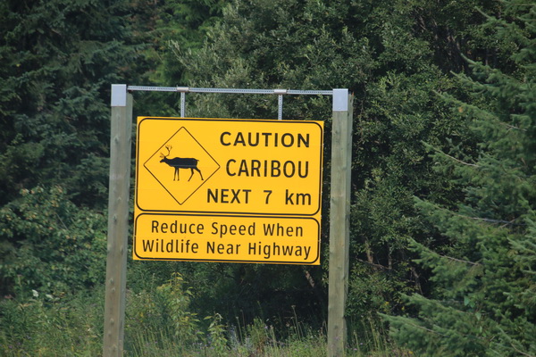 Waarschuwing; Caribou