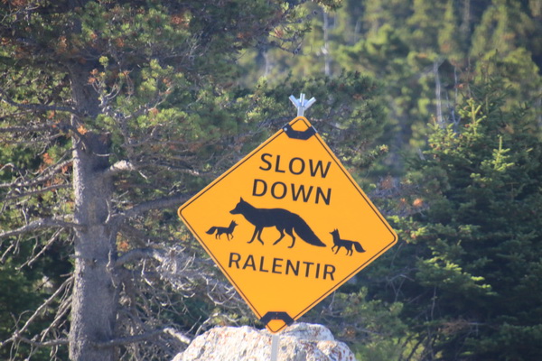 Verminder snelheid, vossen