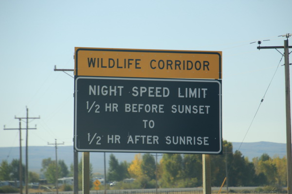 Wild Corridor, nachtsnelheidslimiet half uur voor zonsondergang tot half uur na zonsopgang