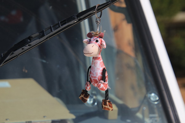 Muis en Giraffe januari 2019 - Drogen aan de ruitenwissers (WA, AUS)
Na een hoognodige wasbeurt