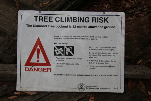 Boom klim risico, Diamond tree uitkijk is 52 meter boven de grond 