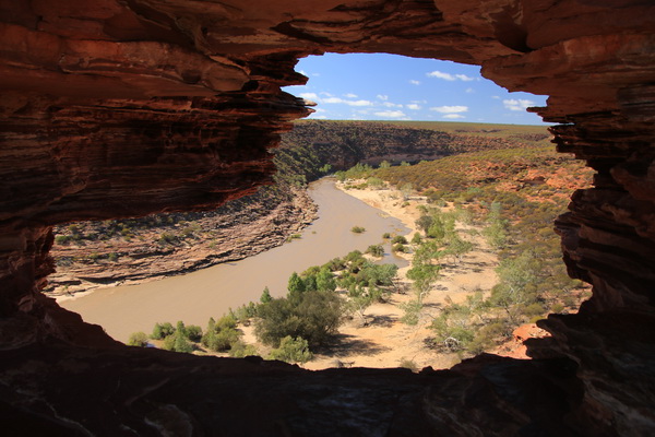 Nature's Window