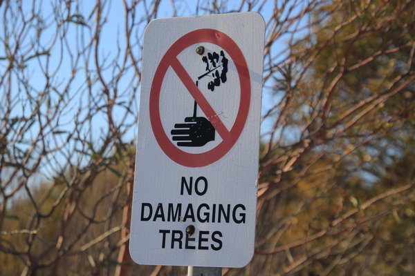 Niet de bomen beschadigen