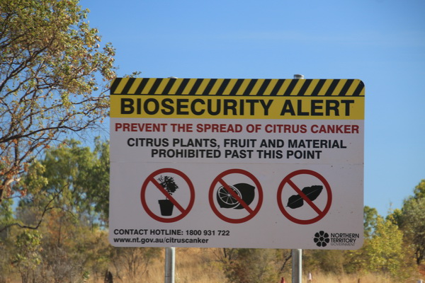 Biosecurity waarschuwing voor cirtusplanten en-vruchten (vroeger quarantaine)