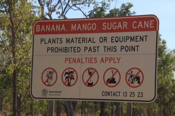 Verboden planten en zaden van Banaan, Mango en Suikerriet voorbij dit punt te vervoeren