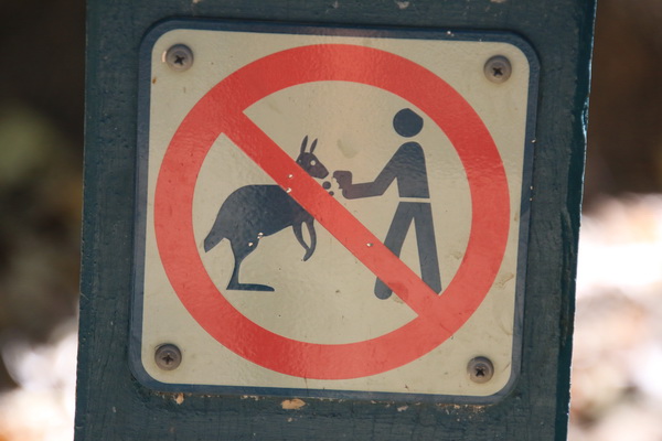 Verboden dieren te voeren