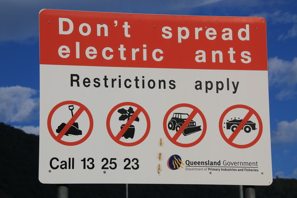Verspreid geen "Electric" mieren