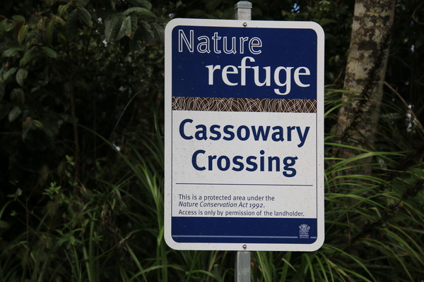 Cassowary oversteekplaats
