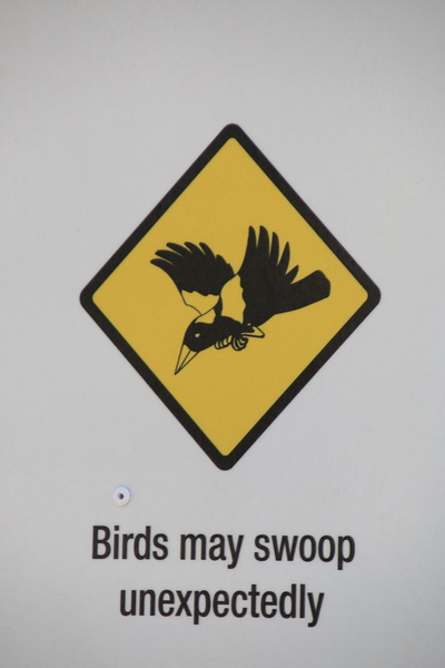 Waarschuwing voor aanvallende vogels