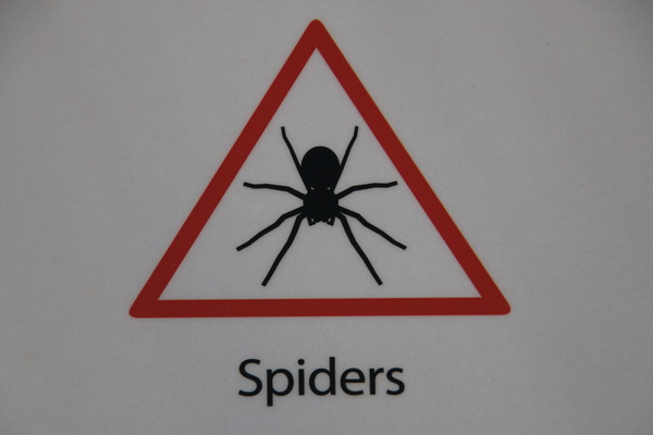 Waarschuwing voor spinnen