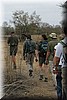 Ons groepje, aangevoerd door de twee (gewapende) gidsen
(Kruger Park 2007-09)