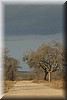 Een donkere lucht met avondlicht
(Kruger Park 2007-09)