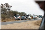 Het opstootje van auto's bij de leeuwen.
Als ze zo kris kras bijelkaar staan is er minstens een leeuw te zien, anders staan ze gewoon achter elkaar...
(Kruger Park 2007-09)