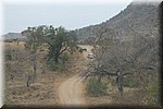 Een verderop overstekende neushoorn
(Kruger Park 2007-09)
