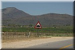Dit bord hebben we wel vaker gezien (in de Kleine Drakensbergen), maar langs de SNELWEG?
(Kruger Park 2007-09)
