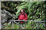 Magda - 2007: Groen en dus ook vochtig in Nieuw Zeeland