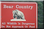 Bear country