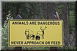 Dieren niet benaderen en voeren
