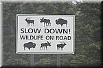 Langzaam, dieren op de weg