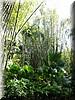 Pangani Forest Exploration trail
Wandeling door tropisch oerwoud met diverse dieren
