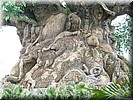Tree of Life
Heel veel dieren in de stam en takken opgenomen