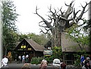 Beeld van Animal Kingdom