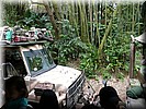 Kilimanjaro Safaris
Met een echte truck door een ruim opgezet safari park met Afrikaanse dieren