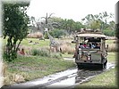 Kilimanjaro Safaris
Met een echte truck door een ruim opgezet safari park met Afrikaanse dieren