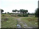 Kilimanjaro Safaris
Met een echte truck door een ruim opgezet safari park met Afrikaanse dieren