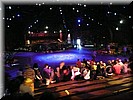 Festival of the Lion King
Dans, zang en acrobatiek rond de Lion King