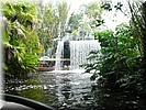 Jungle Cruise
Leuke cruise tussen nepdieren door en komische situaties, ook de gids maakt steeds dubbelzinnige opmerkingen (in het Engels...)