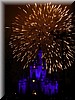 Wishes nighttime spectacular
Vuurwerk