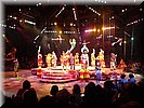 Festival of the Lion King
Dans, zang en acrobatiek rond de Lion King