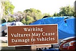 Waarschuwing voor Vultures
Vernielen ruitenwissers en ruitrubbers